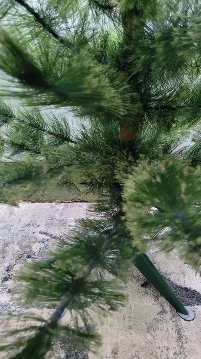 Ёлка 1.20 длина продам