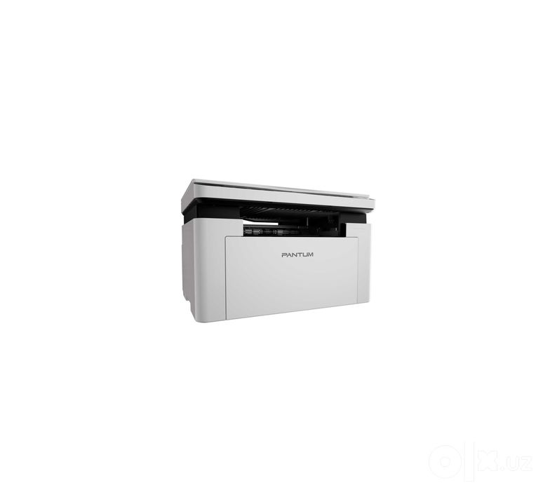 # Printer Pantum BM2300W