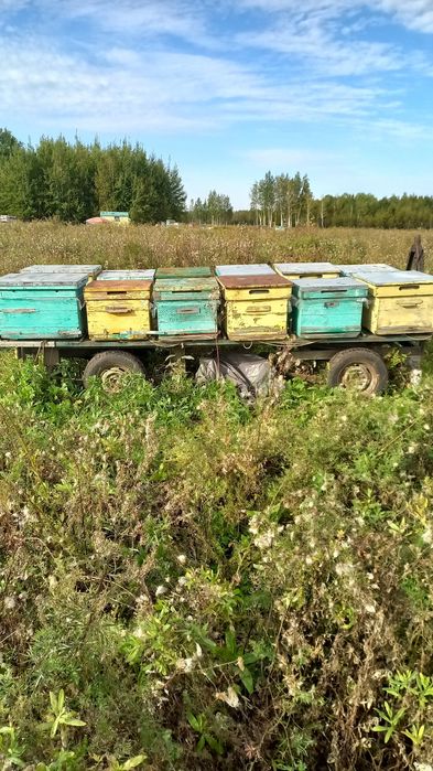 Прицеп пчеловодческий