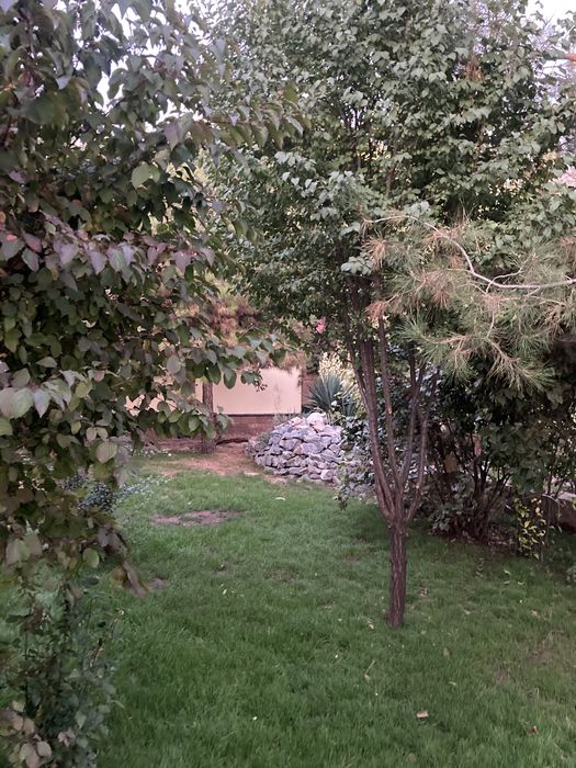 Аренда Коттедж, Дача, Дом в Бургулюке