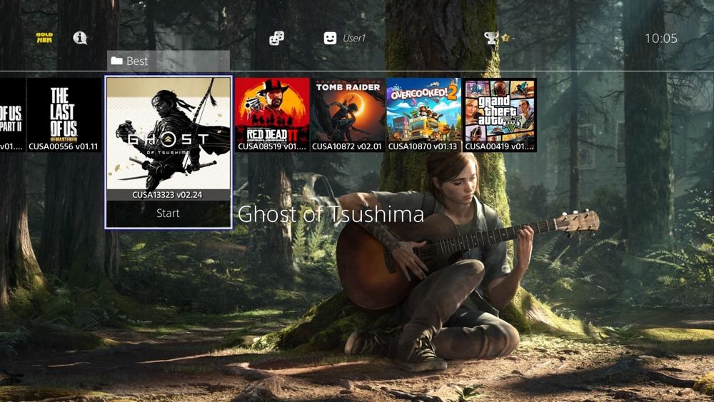 PS4 1TB Modat GoldHEN