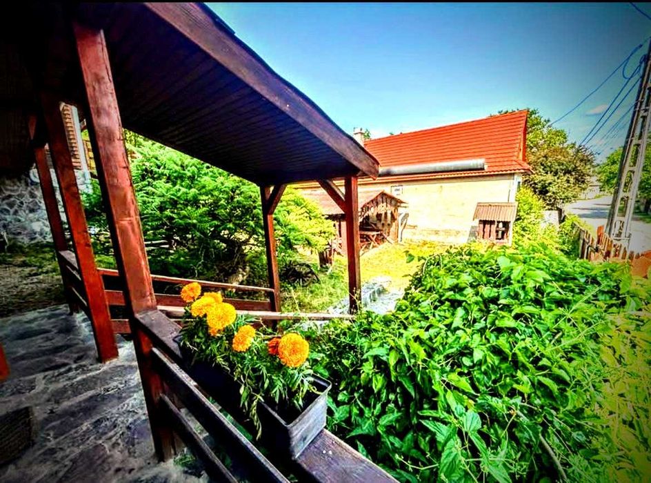 Casa de Vacanta cu 7 Camere