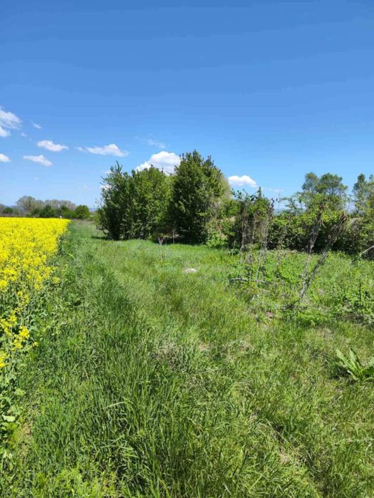Парцел,Поземлен Имот
