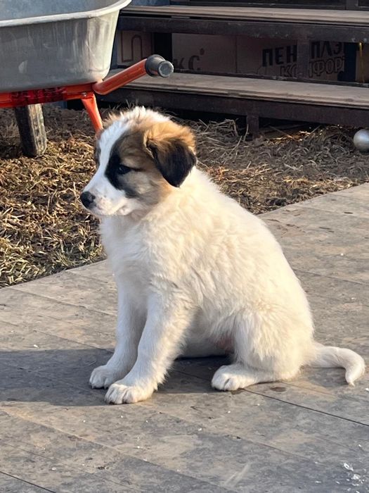 Помогите пожалуйста дом найти