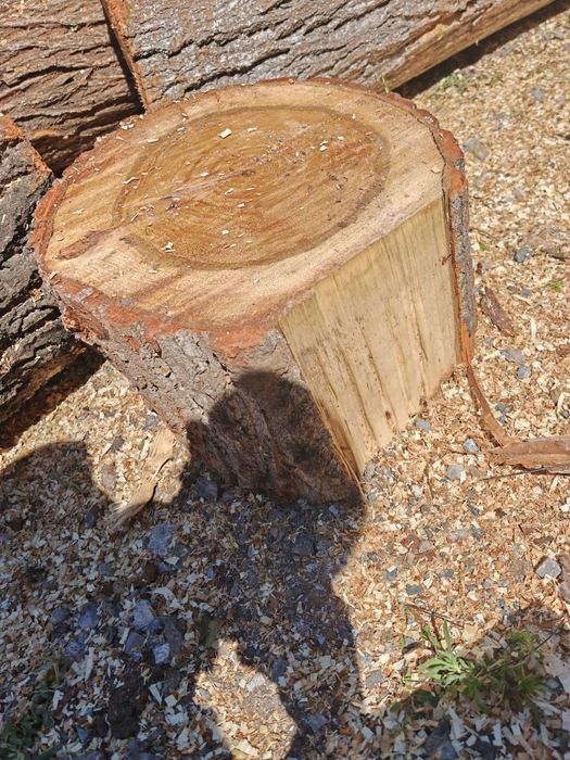 Ағаш шөркелер кесілген сатылады