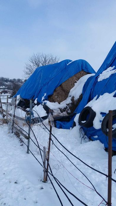 De vânzare baloți rotunzi coceni/iarbă cu lucernă