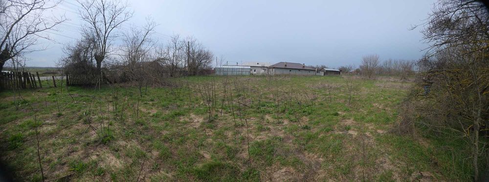 Teren 5000mp intravilan + casa veche | Curcani - Calarasi | 50km Buc