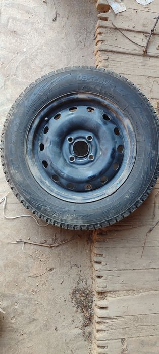 Toyo yapon qishki shinasi