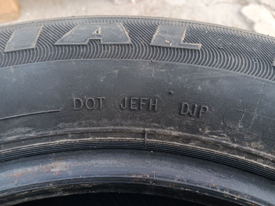 Minerva Radial 195/55/15