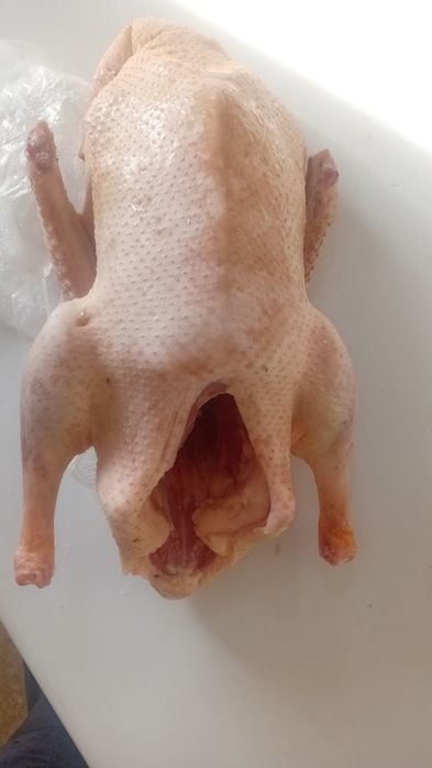 Продам мясо утки