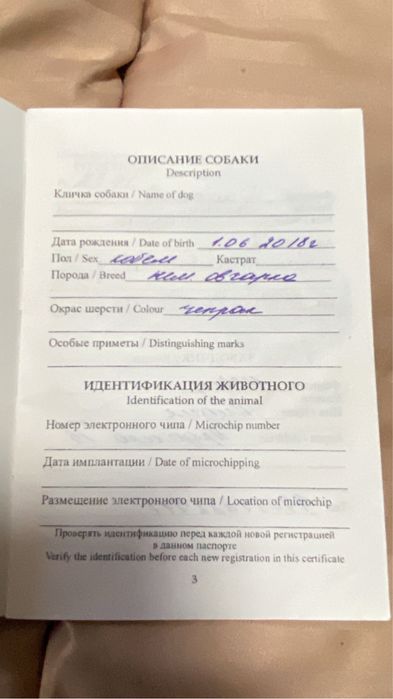Срочно ищем дом для собаки