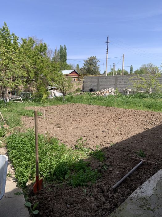 Үй, магазин, Балықхана Сатылады