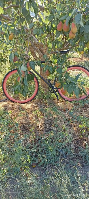 Велосипед Pure Fix (USA)