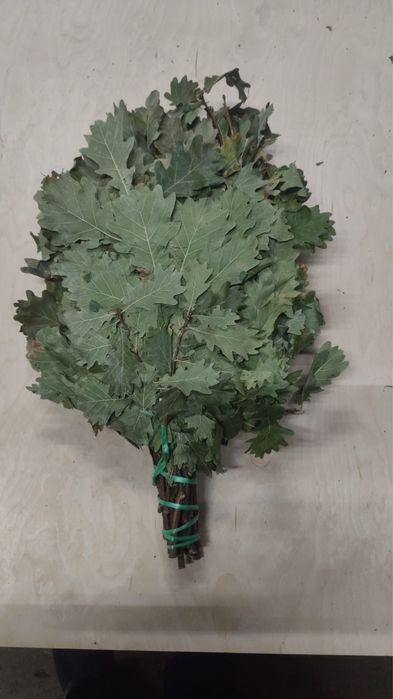 Венники для баня оптом Астана