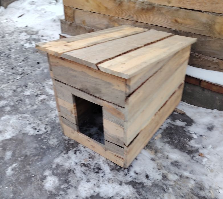 Срочно не дорого