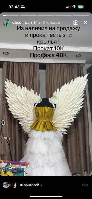 Продажа и прокат крыльев