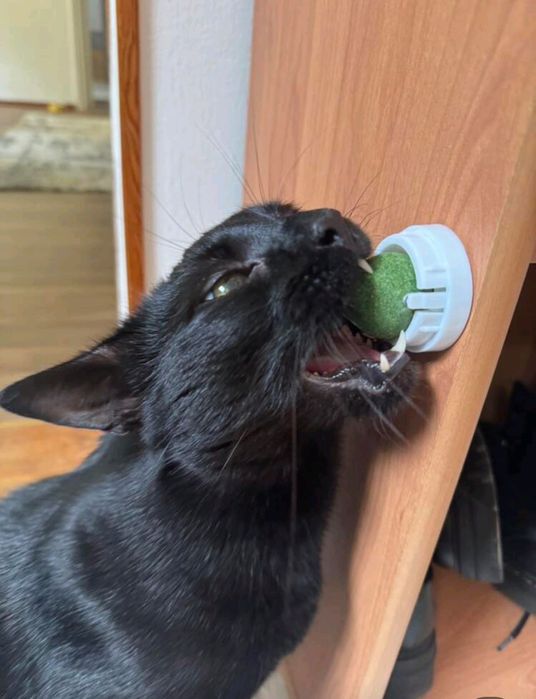 Catnip ball 360° Котешка близалка