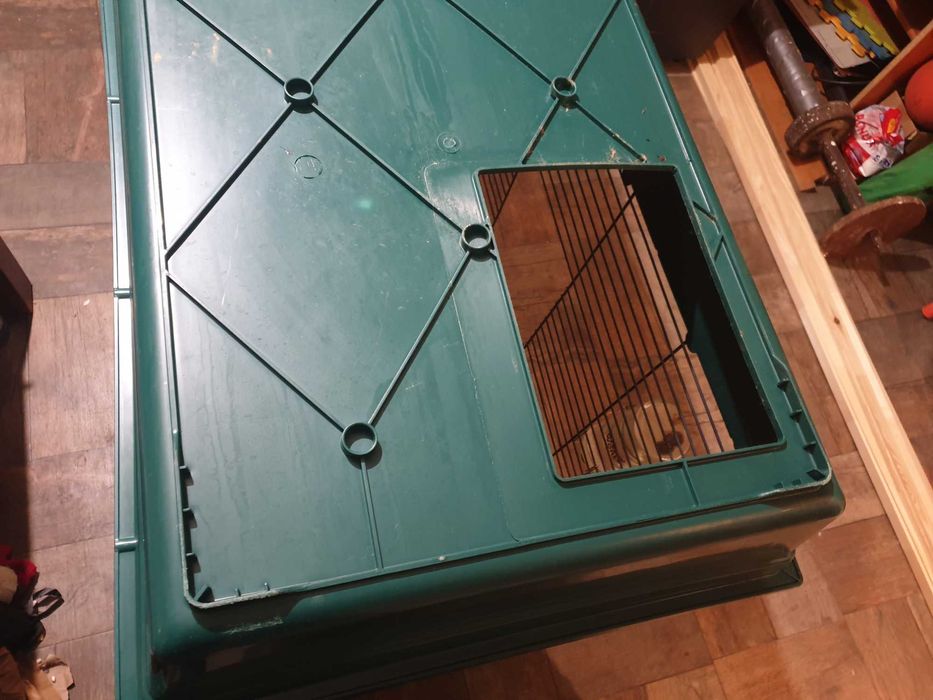 Cusca animale de companie