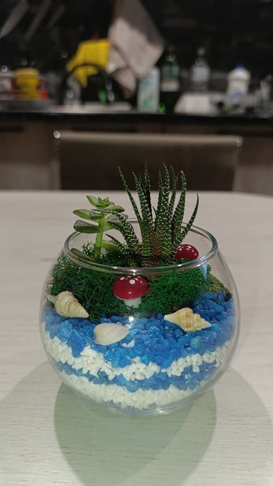 Продам флорариум