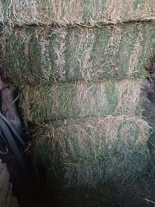 Продавам бали люцерна
