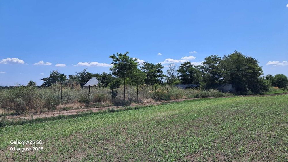 Vand loturi de teren  Extravilan   Sat Costi