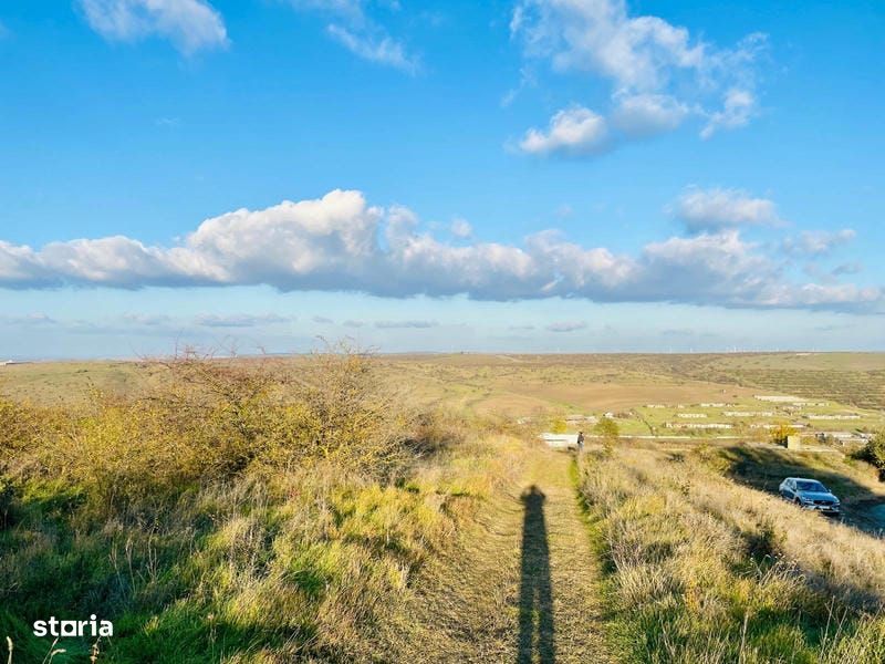 RASOVA Cochirleni Teren extravilan 38 Hectare comasat 100%