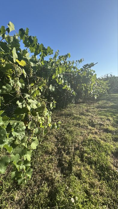 Продава се Къща в Кубрат - 150 кв.м за 202 €/кв.м - Снимка #1