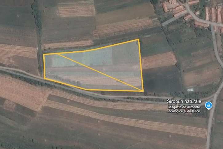 Vand teren in Coltesti