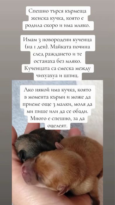 Спешно търсим майка!!!