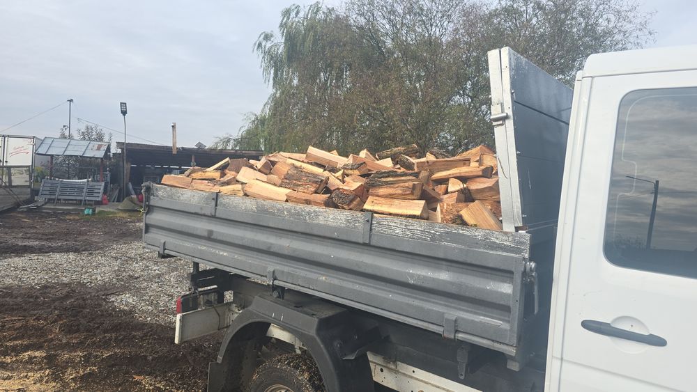 Lemne de foc fag sparte