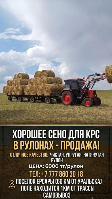 Продам рулоны житняк