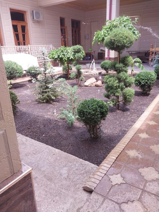 Gazon ekish archa kesish ishlar lanshaftni dizayin ishlar bazaramiz