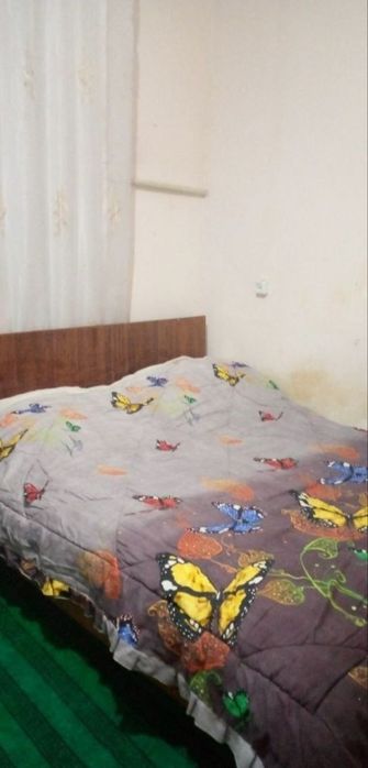 Yashnaoboda remonti alo uy ijaraga beriladi