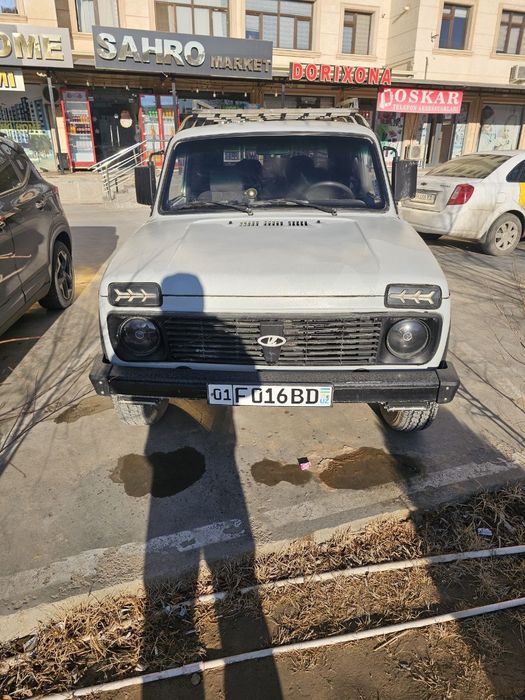 нива йили 1981 .