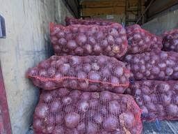 Свекла Кормовая для скота