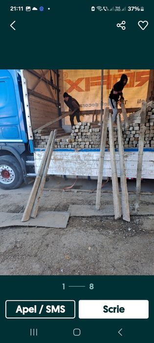 Irinel vinde stâlpi șpalieri