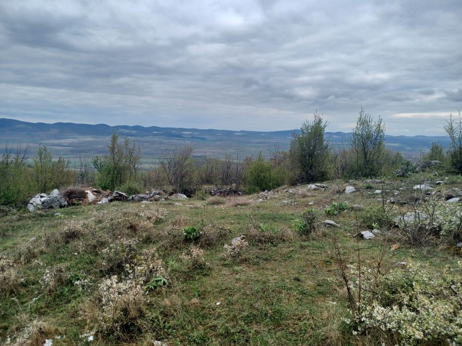 Продава се Парцел в с. Паволче, Област Враца - 2365 кв.м за 20 €/кв.м - Снимка #9