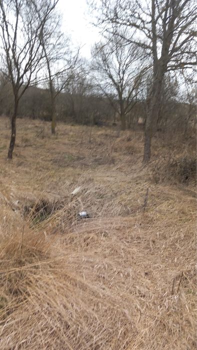 Casa si teren in Topa nr 21 jud Cluj