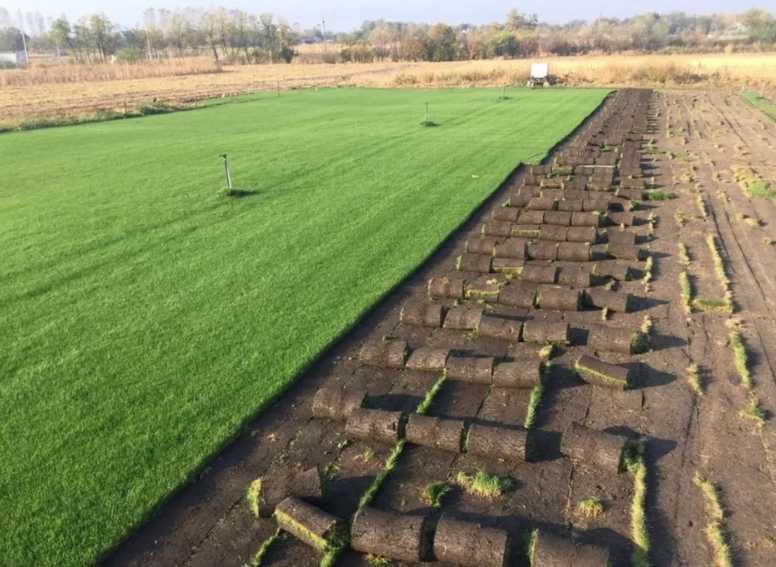 Gazon Rulou Premium – Transformă Instant Grădina Ta