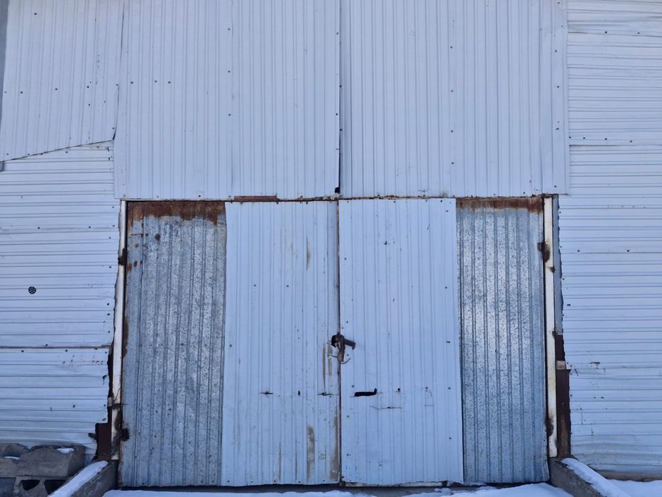 Готовый завод шампиньонов 6000соток