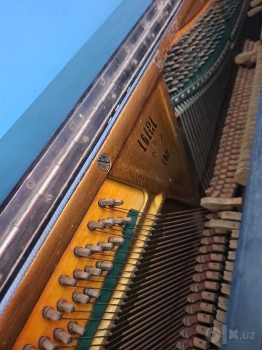 Pianina sotiladi holati ortacha