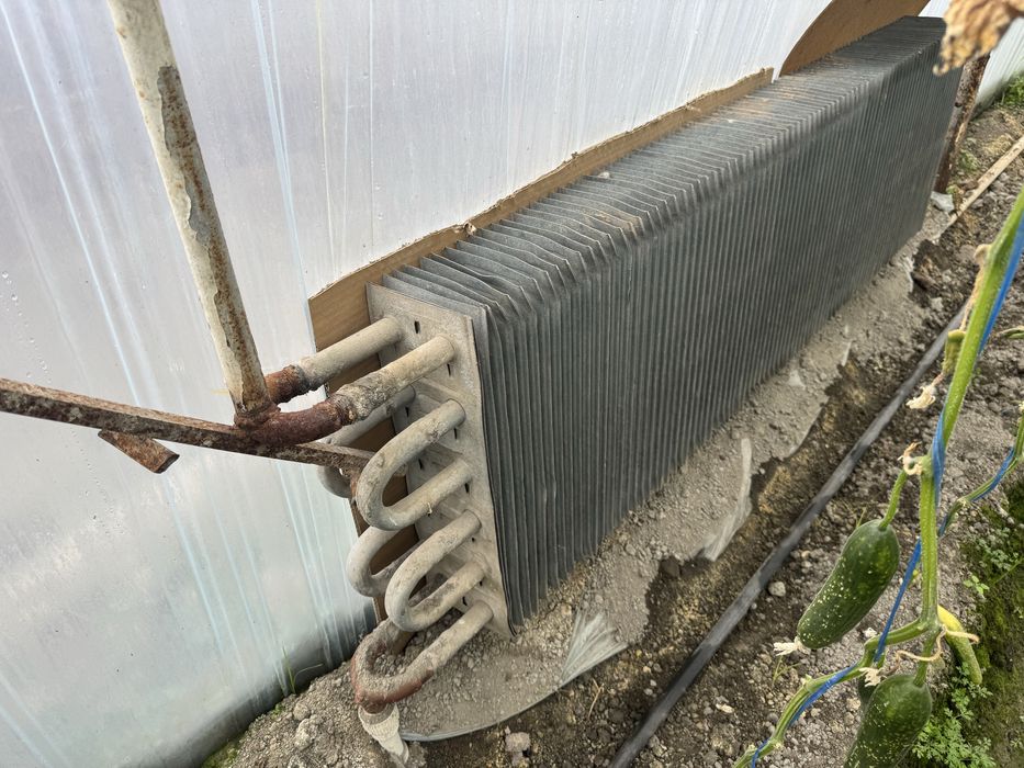 Катта оценковый регистр