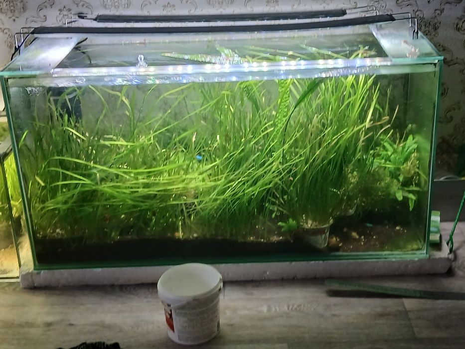 Аквариум 170 литров в комплекте