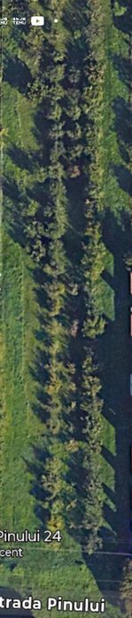 Teren intravilan cu PUZ