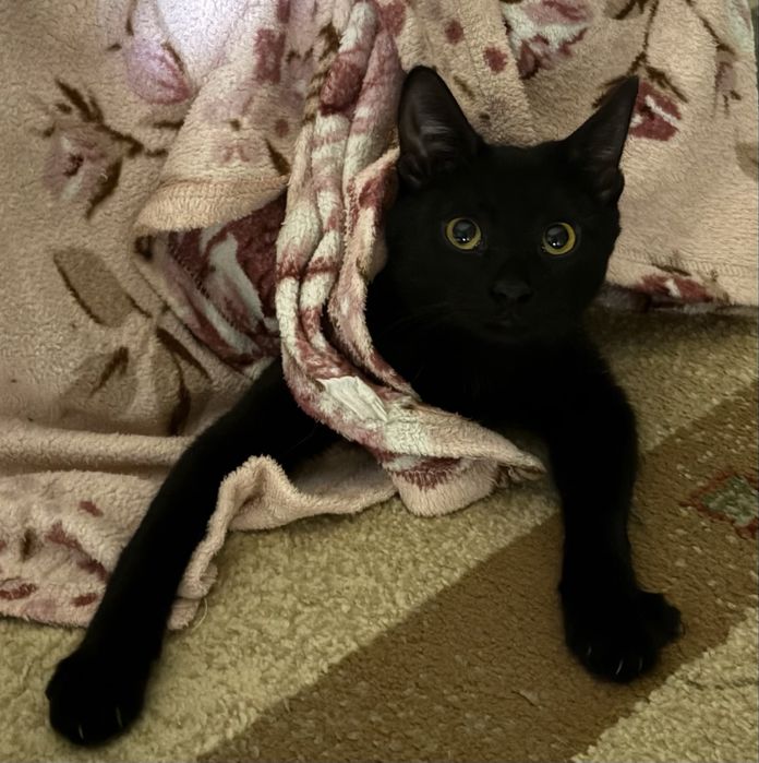 Девочка 5 месяев