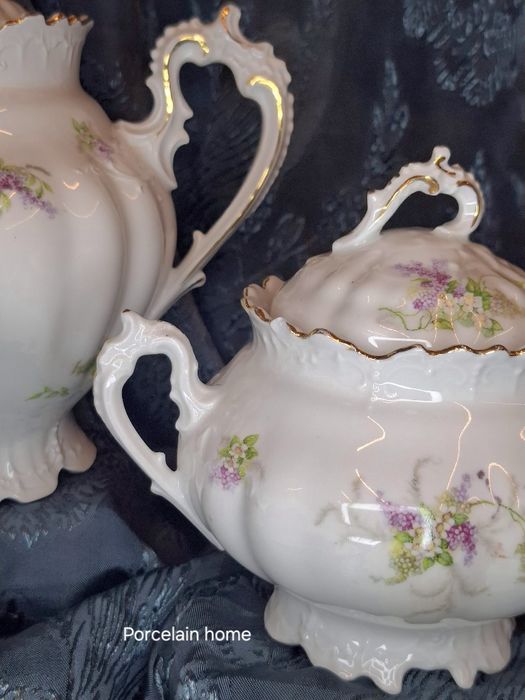 Moritz Zdekauer Austria