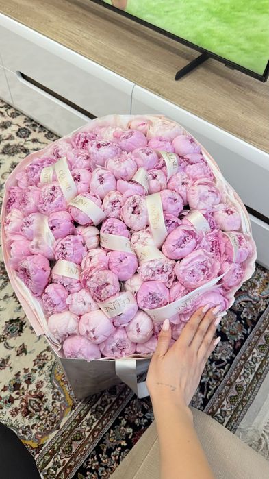 СРОЧНО! Продам 101 пион Celine