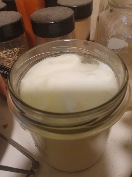Vand ciuperca de kefir de lapte 1 lingura