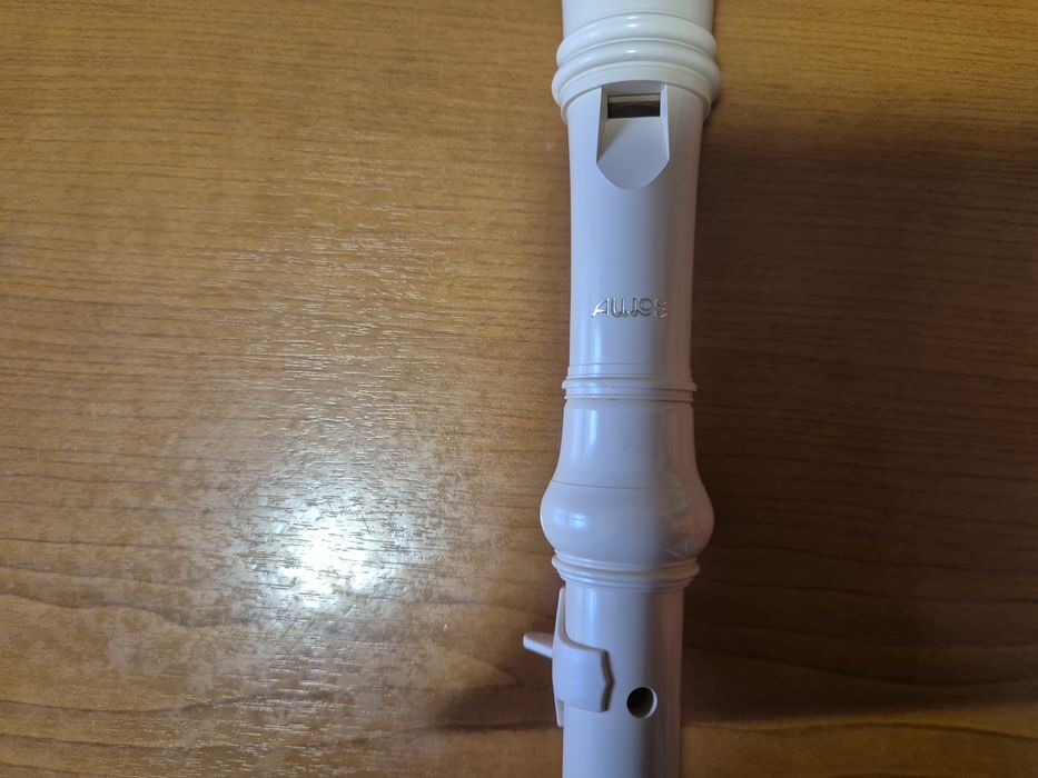 Vand orga Casio + flaut fiecare vine cu husa