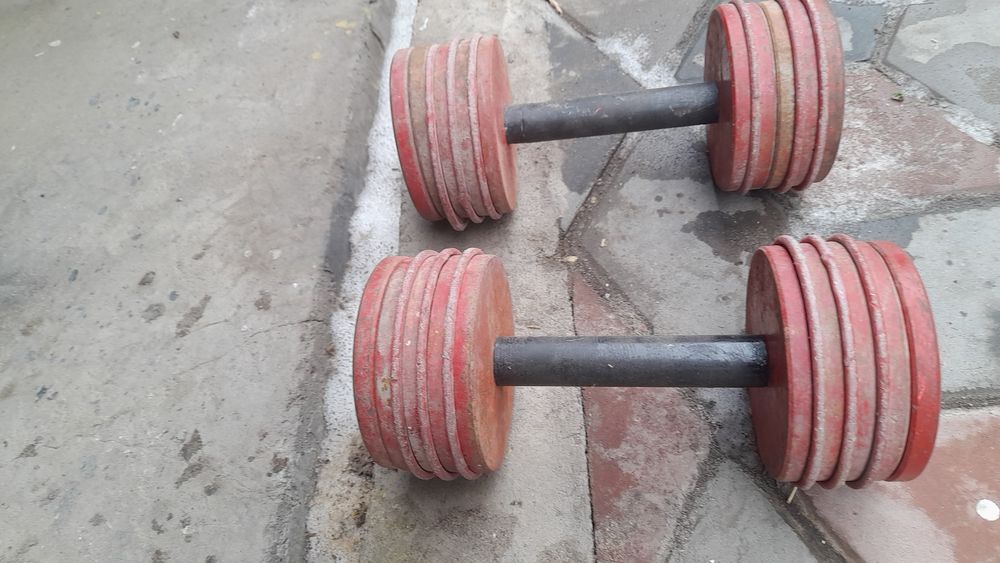 Гантели разборные